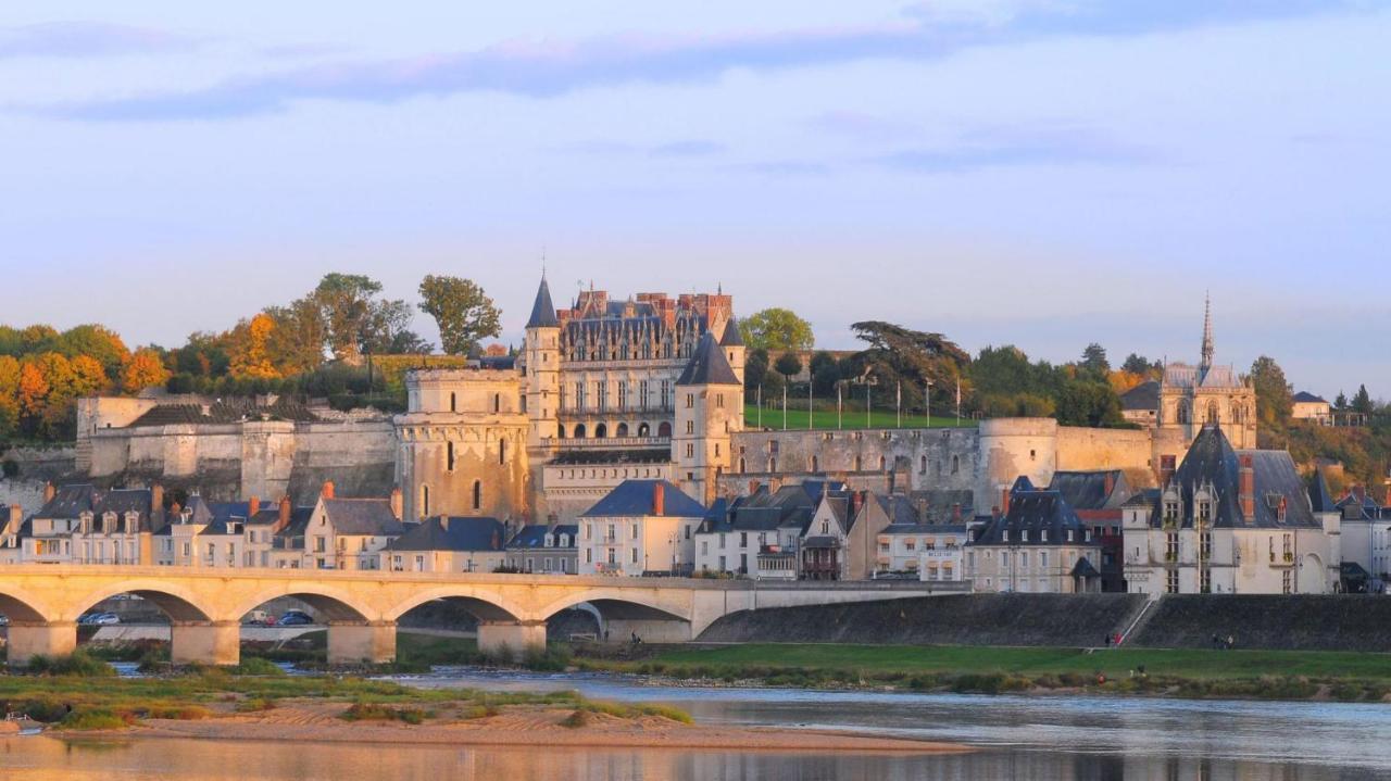 La Patouille Holiday home Amboise